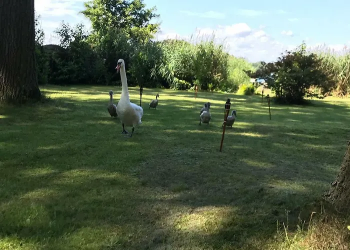 Ferienhaus direkt am See
